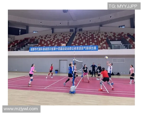 深入分析成都排球队阵地战战术特点与执行策略